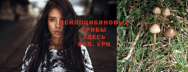 mdma Каменск-Шахтинский